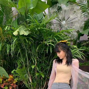 需求销售小鲤导航
