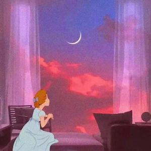 需求销售小鲤导航
