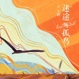 需求销售小鲤导航
