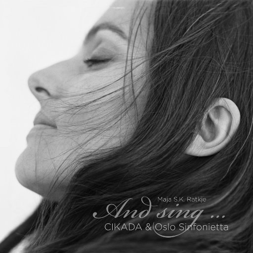 需求销售小鲤导航
